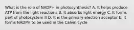 What is the role of NADP+ in photosynthesis? A. It helps produce ATP from the light reactions B. It absorbs light energy C. It forms part of photosystem II D. It is the primary electron acceptor E. It forms NADPH to be used in the Calvin cycle