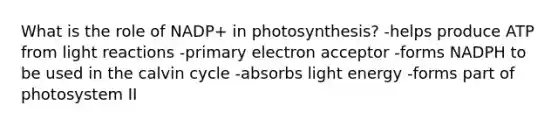 What is the role of NADP+ in photosynthesis? -helps produce ATP from light reactions -primary electron acceptor -forms NADPH to be used in the calvin cycle -absorbs light energy -forms part of photosystem II