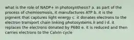 what is the role of NADP+ in photosynthesis? a. as part of the process of chemiosmosis, it manufactures ATP b. it is the pigment that captures light energy c. it donates electrons to the electron transport chain linking photosystems II and I d. it replaces the electrons donated by P680 e. it is reduced and then carries electrons to the Calvin cycle