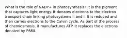 What is the role of NADP+ in photosynthesis? It is the pigment that captures light energy. It donates electrons to the electron transport chain linking photosystems II and I. It is reduced and then carries electrons to the Calvin cycle. As part of the process of chemiosmosis, it manufactures ATP. It replaces the electrons donated by P680.