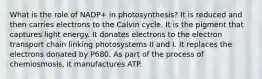 What is the role of NADP+ in photosynthesis? It is reduced and then carries electrons to the Calvin cycle. It is the pigment that captures light energy. It donates electrons to the electron transport chain linking photosystems II and I. It replaces the electrons donated by P680. As part of the process of chemiosmosis, it manufactures ATP.