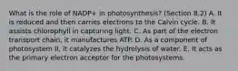 What is the role of NADP+ in photosynthesis? (Section 8.2) A. It is reduced and then carries electrons to the Calvin cycle. B. It assists chlorophyll in capturing light. C. As part of the electron transport chain, it manufactures ATP. D. As a component of photosystem II, it catalyzes the hydrolysis of water. E. It acts as the primary electron acceptor for the photosystems.