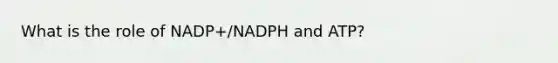 What is the role of NADP+/NADPH and ATP?