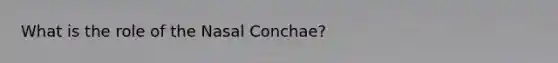 What is the role of the Nasal Conchae?