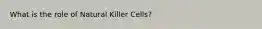 What is the role of Natural Killer Cells?