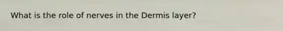 What is the role of nerves in the Dermis layer?