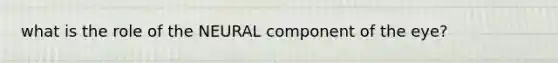 what is the role of the NEURAL component of the eye?