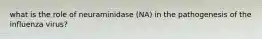 what is the role of neuraminidase (NA) in the pathogenesis of the influenza virus?