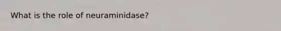 What is the role of neuraminidase?