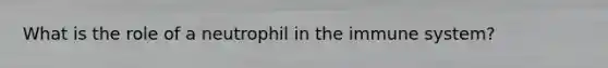 What is the role of a neutrophil in the immune system?
