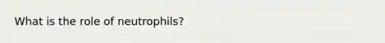 What is the role of neutrophils?