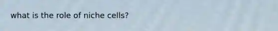 what is the role of niche cells?