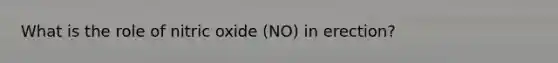 What is the role of nitric oxide (NO) in erection?