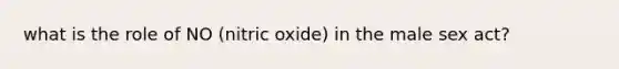 what is the role of NO (nitric oxide) in the male sex act?