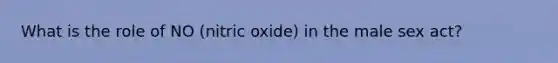 What is the role of NO (nitric oxide) in the male sex act?