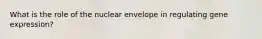 What is the role of the nuclear envelope in regulating gene expression?