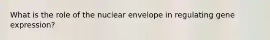 What is the role of the nuclear envelope in regulating gene expression?
