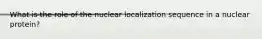 What is the role of the nuclear localization sequence in a nuclear protein?