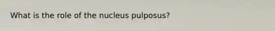 What is the role of the nucleus pulposus?