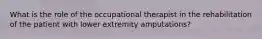 What is the role of the occupational therapist in the rehabilitation of the patient with lower extremity amputations?