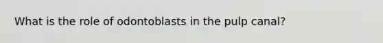 What is the role of odontoblasts in the pulp canal?