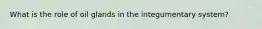 What is the role of oil glands in the integumentary system?
