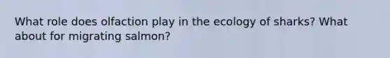 What role does olfaction play in the ecology of sharks? What about for migrating salmon?