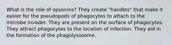 What is the role of opsonins? They create "handles" that make it easier for the pseudopods of phagocytes to attach to the microbe invader. They are present on the surface of phagocytes. They attract phagocytes to the location of infection. They aid in the formation of the phagolysosome.