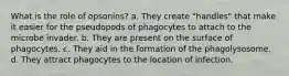 What is the role of opsonins? a. They create "handles" that make it easier for the pseudopods of phagocytes to attach to the microbe invader. b. They are present on the surface of phagocytes. c. They aid in the formation of the phagolysosome. d. They attract phagocytes to the location of infection.