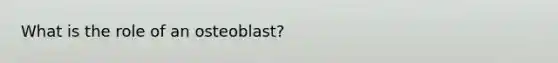 What is the role of an osteoblast?