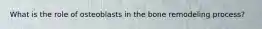 What is the role of osteoblasts in the bone remodeling process?