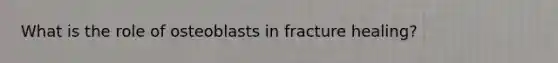 What is the role of osteoblasts in fracture healing?