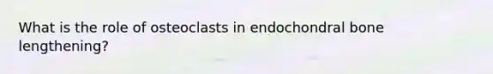 What is the role of osteoclasts in endochondral bone lengthening?