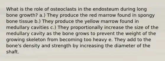 What is the role of osteoclasts in the endosteum during long bone growth? a.) They produce the red marrow found in spongy bone tissue b.) They produce the yellow marrow found in medullary cavities c.) They proportionally increase the size of the medullary cavity as the bone grows to prevent the weight of the growing skeleton from becoming too heavy e. They add to the bone's density and strength by increasing the diameter of the shaft.