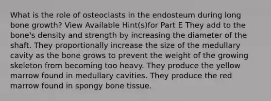 What is the role of osteoclasts in the endosteum during long bone growth? View Available Hint(s)for Part E They add to the bone's density and strength by increasing the diameter of the shaft. They proportionally increase the size of the medullary cavity as the bone grows to prevent the weight of the growing skeleton from becoming too heavy. They produce the yellow marrow found in medullary cavities. They produce the red marrow found in spongy bone tissue.