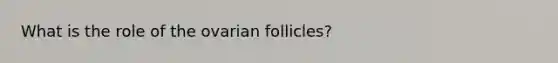 What is the role of the ovarian follicles?