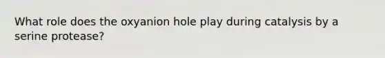 What role does the oxyanion hole play during catalysis by a serine protease?