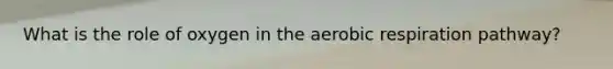 What is the role of oxygen in the aerobic respiration pathway?