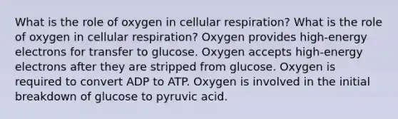 What is the role of oxygen in <a href='https://www.questionai.com/knowledge/k1IqNYBAJw-cellular-respiration' class='anchor-knowledge'>cellular respiration</a>? What is the role of oxygen in cellular respiration? Oxygen provides high-energy electrons for transfer to glucose. Oxygen accepts high-energy electrons after they are stripped from glucose. Oxygen is required to convert ADP to ATP. Oxygen is involved in the initial breakdown of glucose to pyruvic acid.