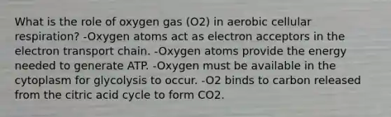 What is the role of oxygen gas (O2) in aerobic cellular respiration? -Oxygen atoms act as electron acceptors in the electron transport chain. -Oxygen atoms provide the energy needed to generate ATP. -Oxygen must be available in the cytoplasm for glycolysis to occur. -O2 binds to carbon released from the citric acid cycle to form CO2.