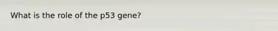 What is the role of the p53 gene?