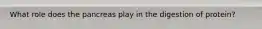 What role does the pancreas play in the digestion of protein?