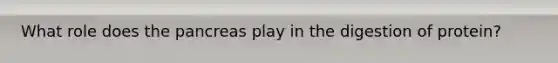 What role does the pancreas play in the digestion of protein?