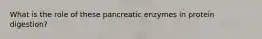 What is the role of these pancreatic enzymes in protein digestion?