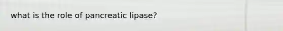 what is the role of pancreatic lipase?