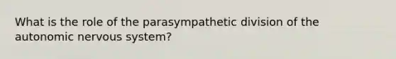 What is the role of the parasympathetic division of the autonomic nervous system?