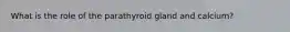 What is the role of the parathyroid gland and calcium?