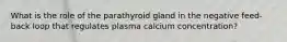 What is the role of the parathyroid gland in the negative feed-back loop that regulates plasma calcium concentration?