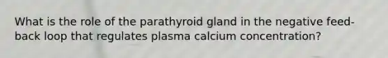 What is the role of the parathyroid gland in the negative feed-back loop that regulates plasma calcium concentration?