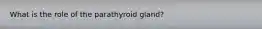 What is the role of the parathyroid gland?